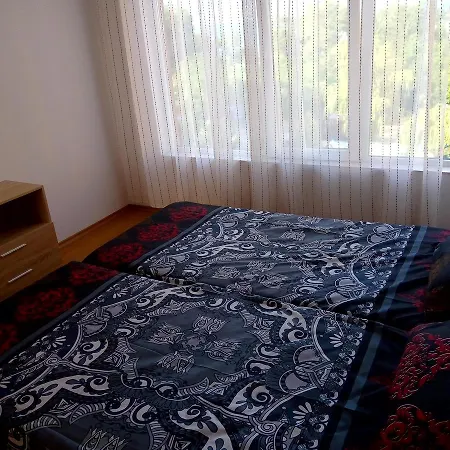 Vlada *